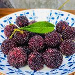 杨梅里的小白虫是什么？为什么有人说这虫子可以吃呢，难道不脏吗？