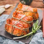 瞎扯 · 如何正确地吐槽