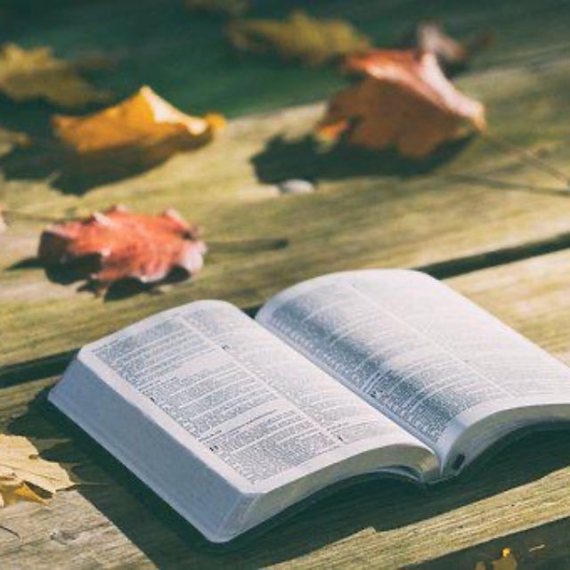 阅读的时候经常看到“未央”两个字，如“雪落未央”。请问“未央”是什么意思？