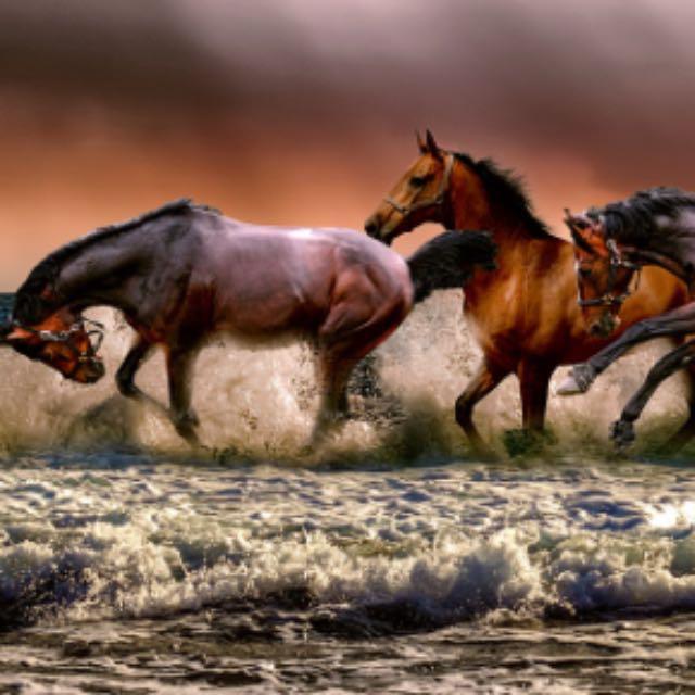 为什么战国时其他国家不学习赵国胡服骑射，或者至少建立一支新式骑兵？