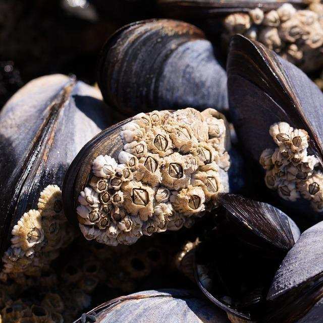 自然界中,哪种动物活得最惬意?