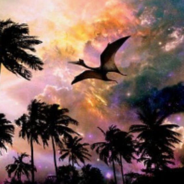 有哪些看似遥远但实则较晚才灭绝的动物？