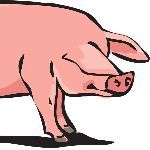 动物该不该被用于医学研究中？