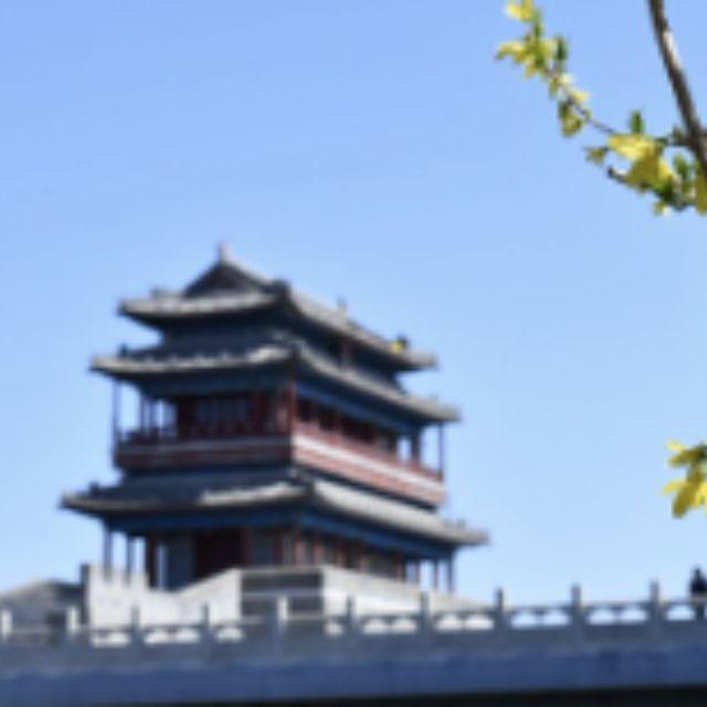 中国有哪些逆天的文物？