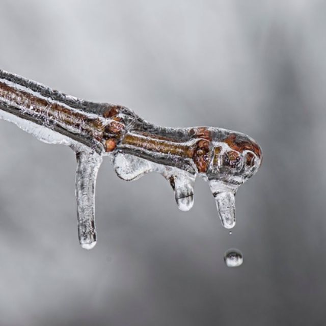 如「温带大陆性气候」这样的名称是如何确定的？