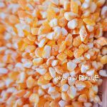 身处异乡时，你都会做什么家乡菜来缓解思乡之情？