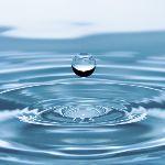 为什么人类喝地球的水需要过滤，而其他任何一种地球的生物可以直接喝地球的水？