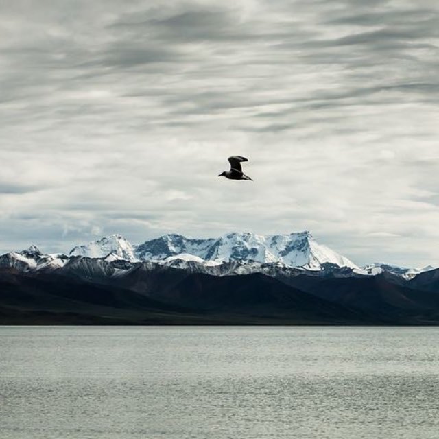 瞎扯·如何正确地吐槽