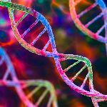 DNA 是否可以存储除了遗传信息以外的复杂信息？目前有哪些技术难点？