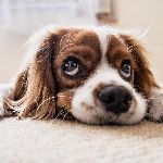 瞎扯 · 如何正确地吐槽