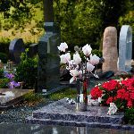 如果我的遗体捐献解剖，使用完毕后会被火化还是把我扔在垃圾桶里? 