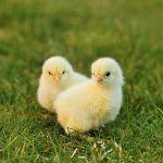 小事 · 你遇过的最温暖的瞬间是什么？