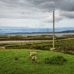 小事 · 有趣的生活是什么样的？