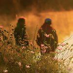 管仲和鲍叔牙间似乎都是鲍叔牙在付出，为什么却称为知己的典范？