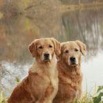 瞎扯 · 如何正确地吐槽