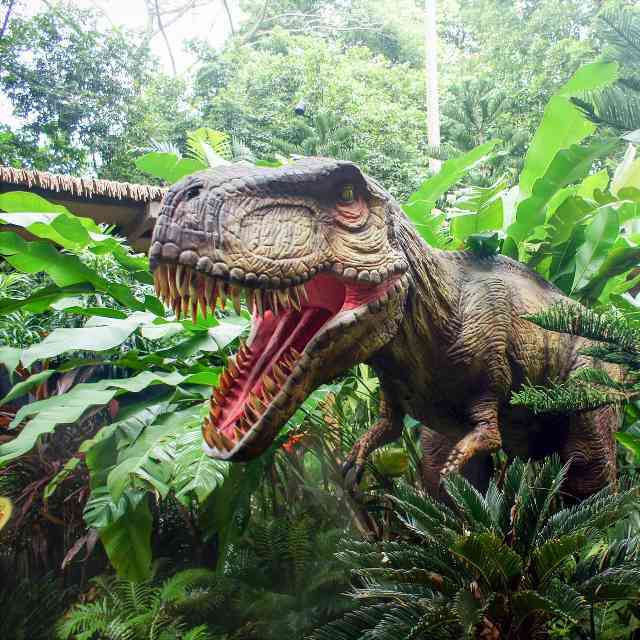 院士称恐龙没有完全灭绝，鸡也是恐龙的后裔，你同意这一说法吗？