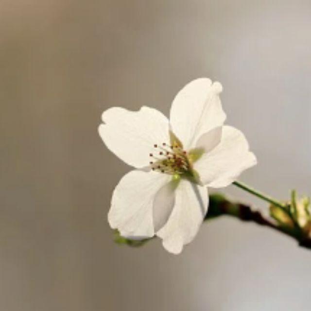 《甄嬛传》中有哪些值得深思的细节？