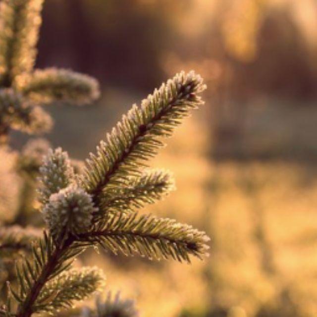 越复杂的系统越不靠谱，可为什么生物的进化方向是由简单的复杂？甚至生态系统也是越复杂越稳定？