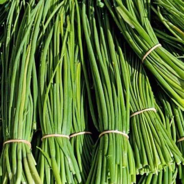 「韭菜盒子」怎么翻译比较合适？还有哪些有趣的中国美食翻译？