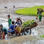 小事 · 孩子的「劳动教育」