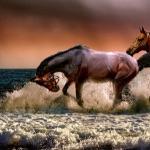 古代骑兵作战仅仅一人一马就行了吗?