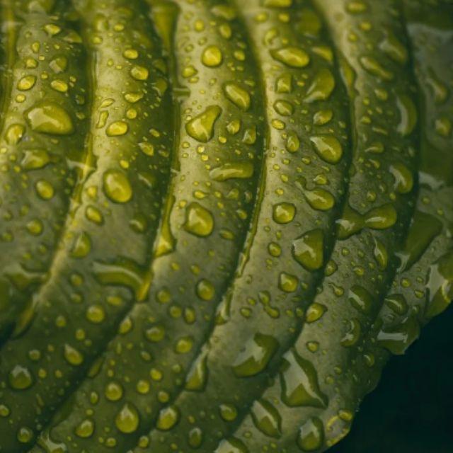 如果存在一个使用九进制的文明，那么它们会在何时有奇数和偶数的概念？