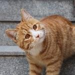 瞎扯 · 如何正确地吐槽