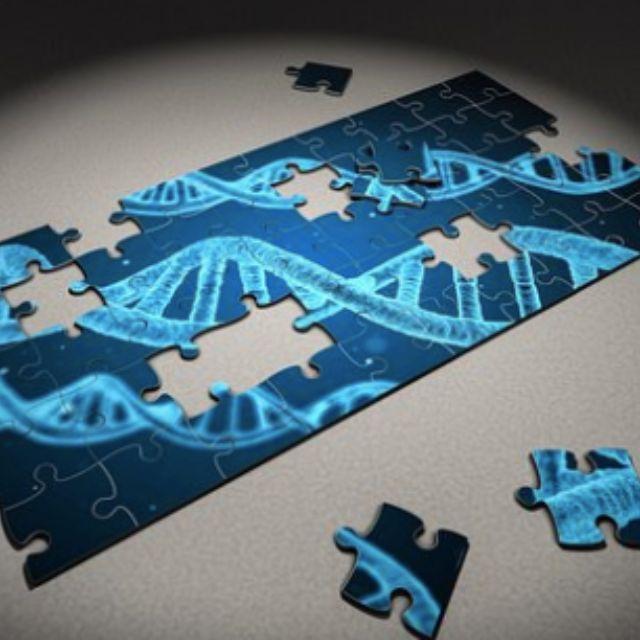 在你所处的领域中，有哪些想象已经变成了现实？