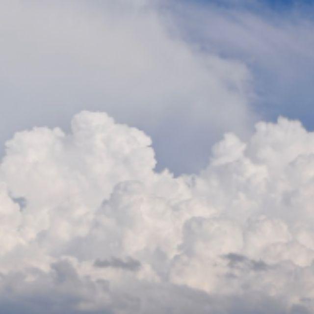 为什么空气中 N 元素这么多，但没有一个动物进化到可以利用空气中的氮气合成氨基酸呢？