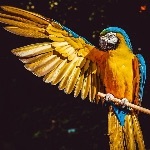 瞎扯·如何正确地吐槽