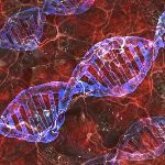 为什么生物演化不可逆？