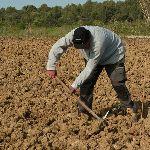 人类女性相比于男性的耐力优势体现在哪些地方？