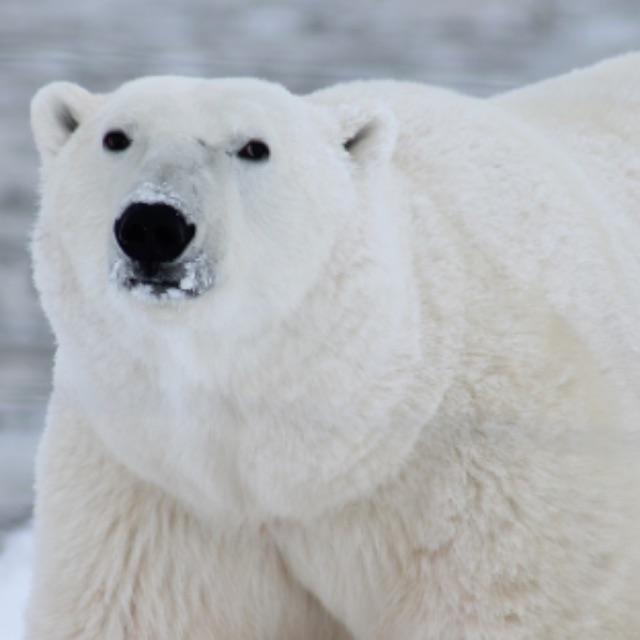 瞎扯 · 如何正确地吐槽