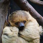 瞎扯 · 如何正确地吐槽