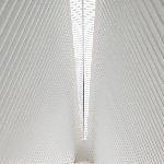 为什么对称性在物理学领域中如此重要？