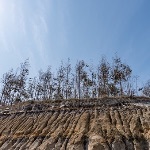 为什么渤海的庙岛列岛也会出现黄土高原的地貌特征？