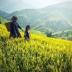 美国为什么这么多苗族？他们会说汉语吗？和我国的苗族有什么区别？