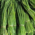 「韭菜盒子」怎么翻译比较合适？还有哪些有趣的中国美食翻译？