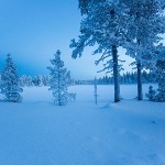 极地及北欧等高纬度地区的极夜会对人的生理和心理造成哪些影响？
