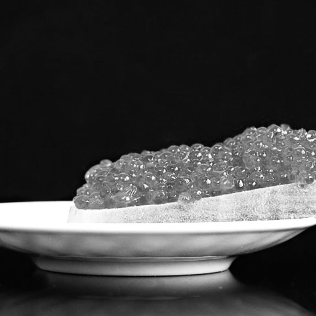 为什么真正意义上的鱼子酱只能用鲟鱼的卵？