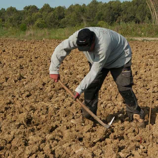 面粉为什么能洗出面筋？粉是怎么转化成「筋」的呢？