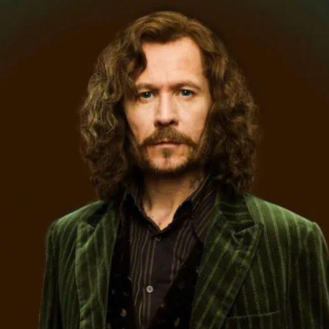 哈利波特为什么深爱小天狼星？