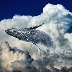 现实中有哪些类似「独角鲸」这样听起来既真实又梦幻的动物？