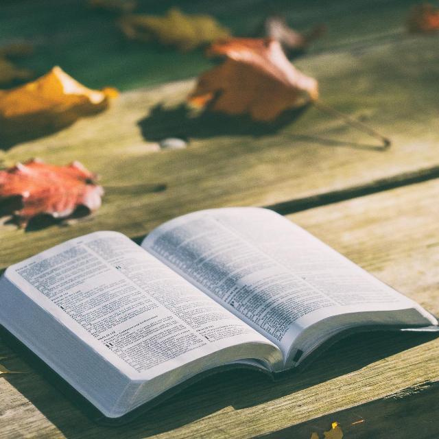 我们读书，到底为了什么？