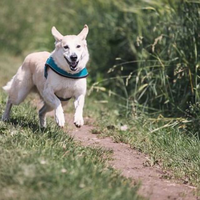 瞎扯·如何正确地吐槽