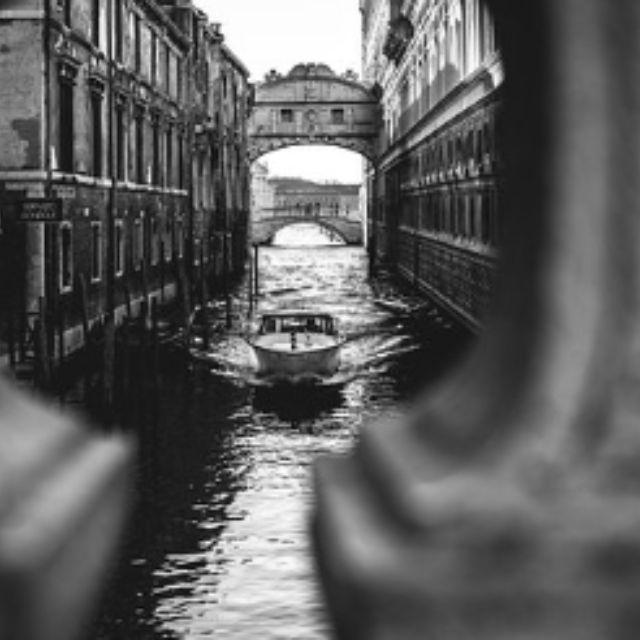 为什么大家都觉得黑白色的搭配会显得很高级，这种说法有依据吗？