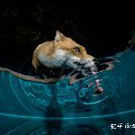 如何看待后期让照片成为照骗，真正好的摄影作品有哪些特点？