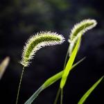 有哪些你觉得是常识，但大部分人好像并不知道的事？