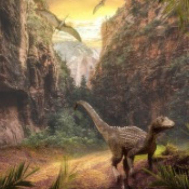 为什么很多恐龙用两条腿走路,而现在大部分哺乳动物用四条腿走路?