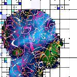 英语这种毫无规律的语言是怎么被造出来的？